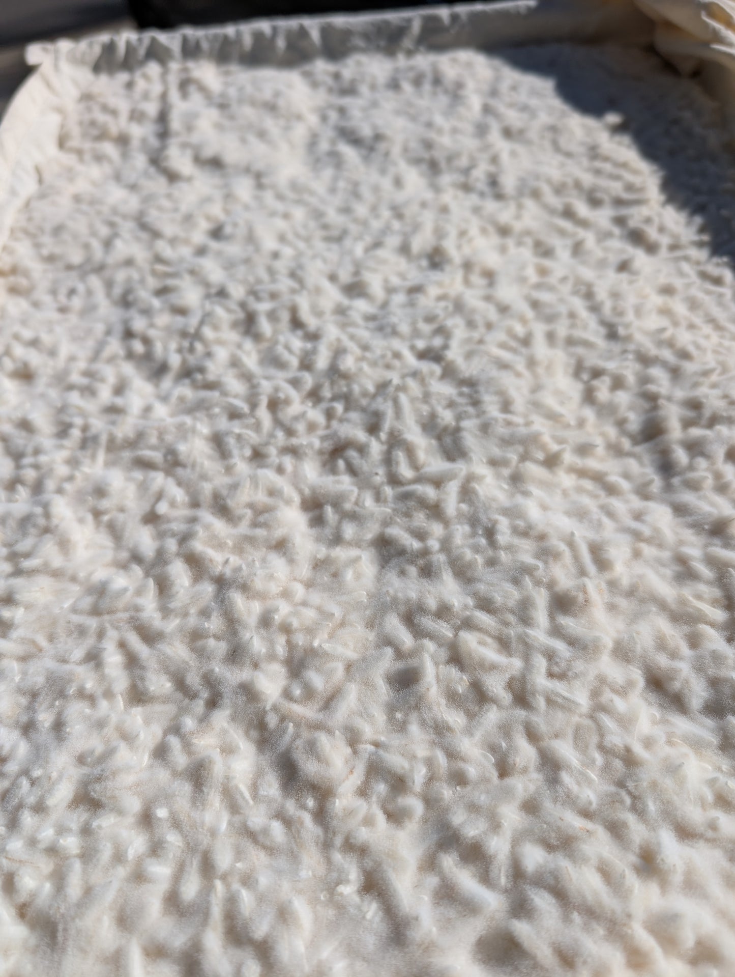 White Koji Rice