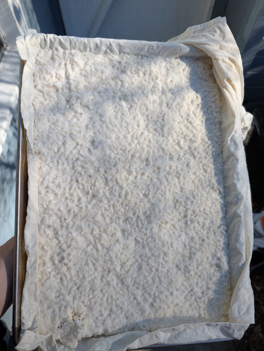 White Koji Rice